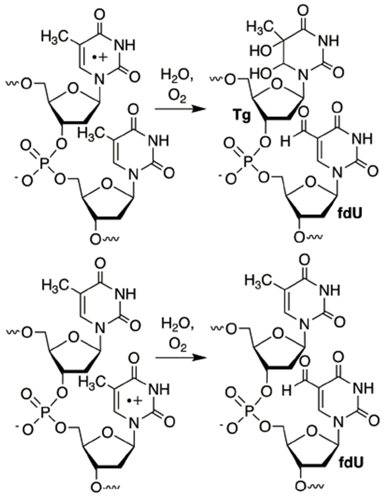 Scheme 3.