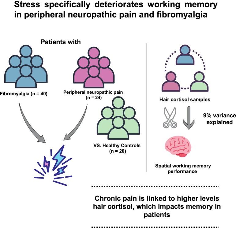 Graphical Abstract