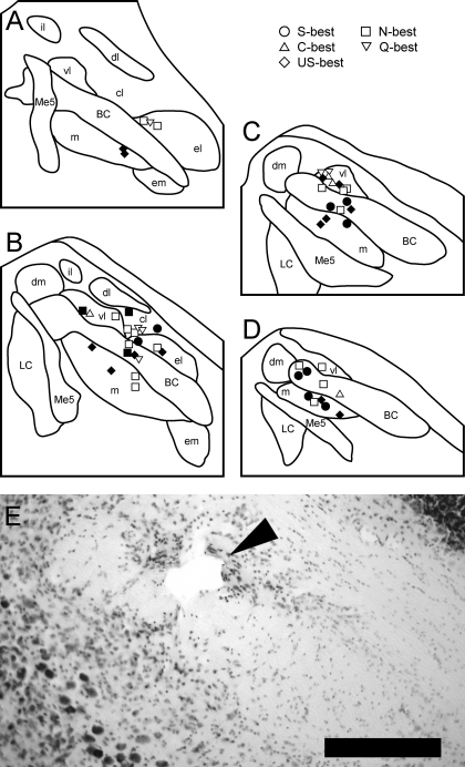 Fig. 9.