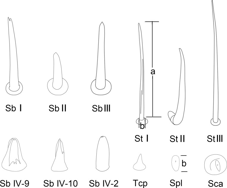 Fig 3