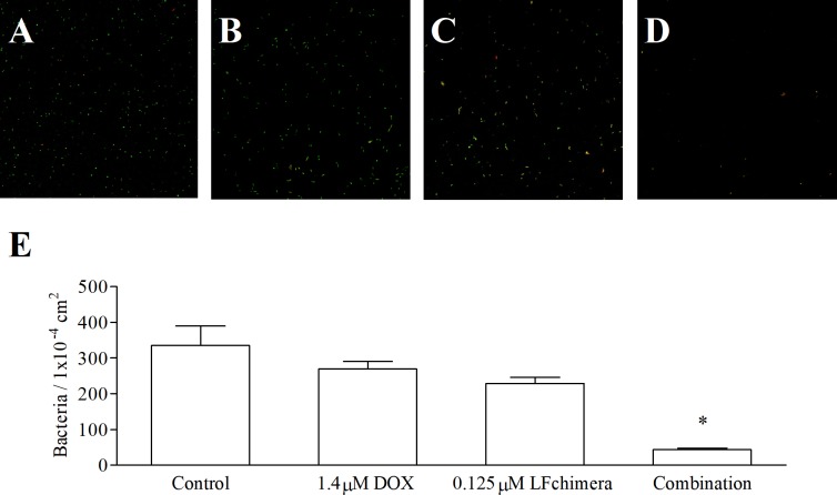 Fig 2