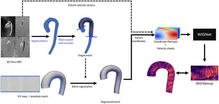 Figure 6