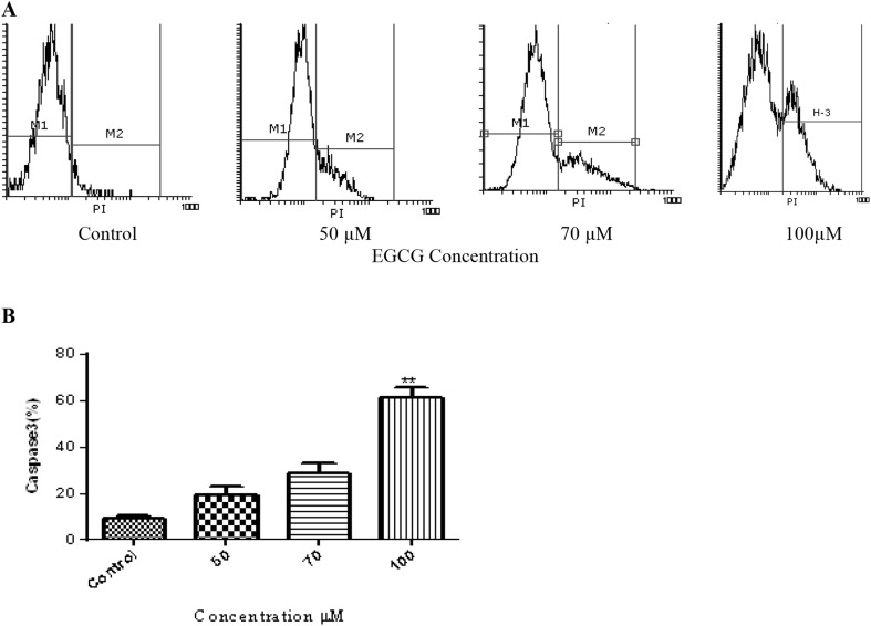 Fig. 4