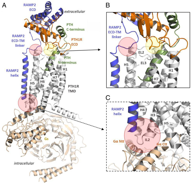 Fig. 7.