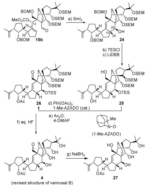 Scheme 4