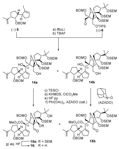 Scheme 2