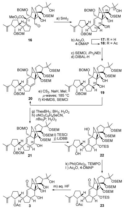 Scheme 3