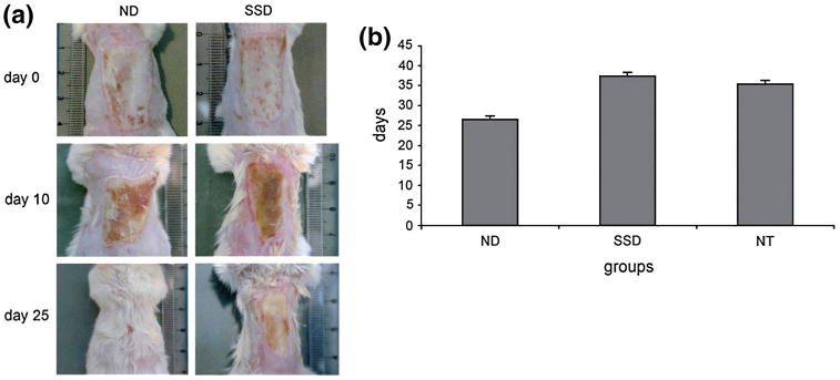 Fig. 9