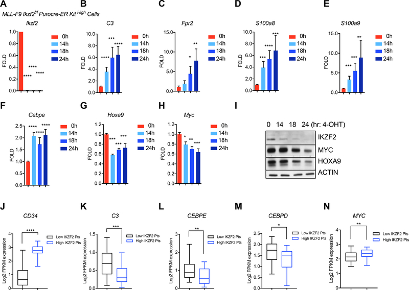 IKZF2 drives leukemia stem cell self-renewal and inhibits myeloid ...