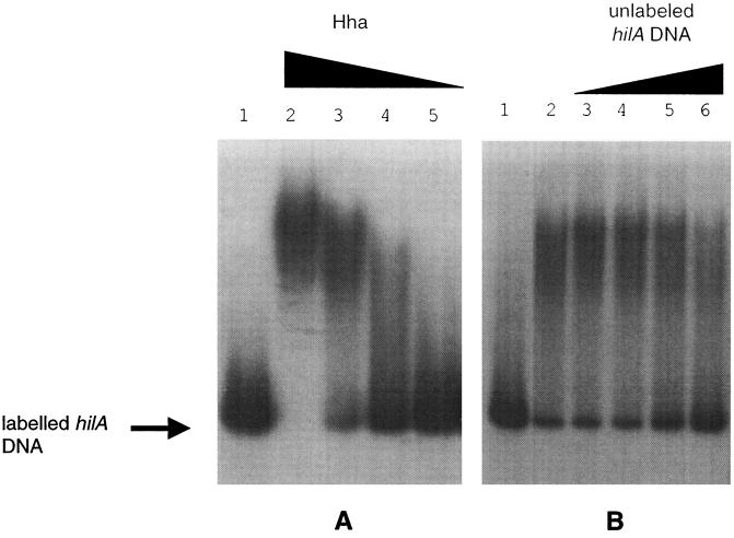 FIG. 6