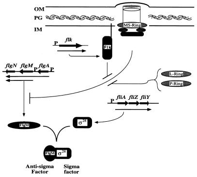 FIG. 9