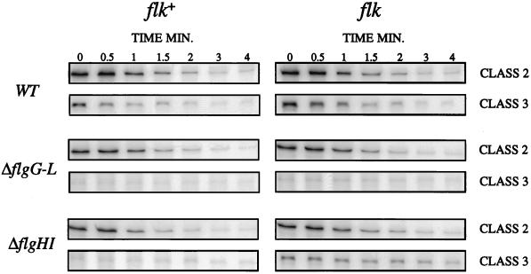 FIG. 7