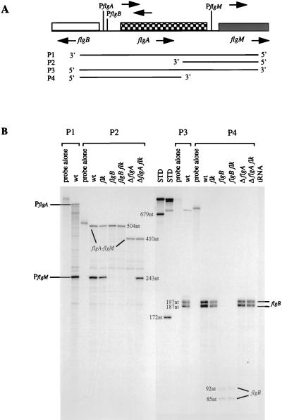 FIG. 6