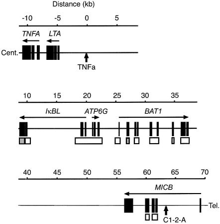 Figure  1