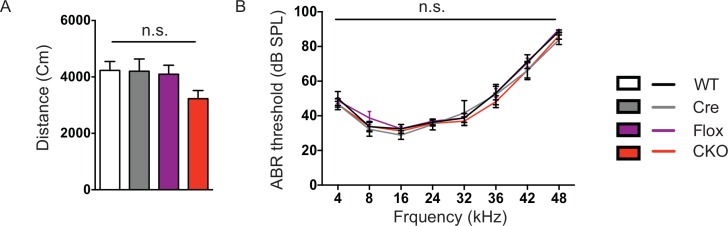 Figure 5—figure supplement 1.