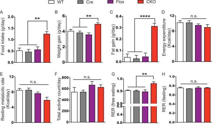 Figure 3—figure supplement 1.