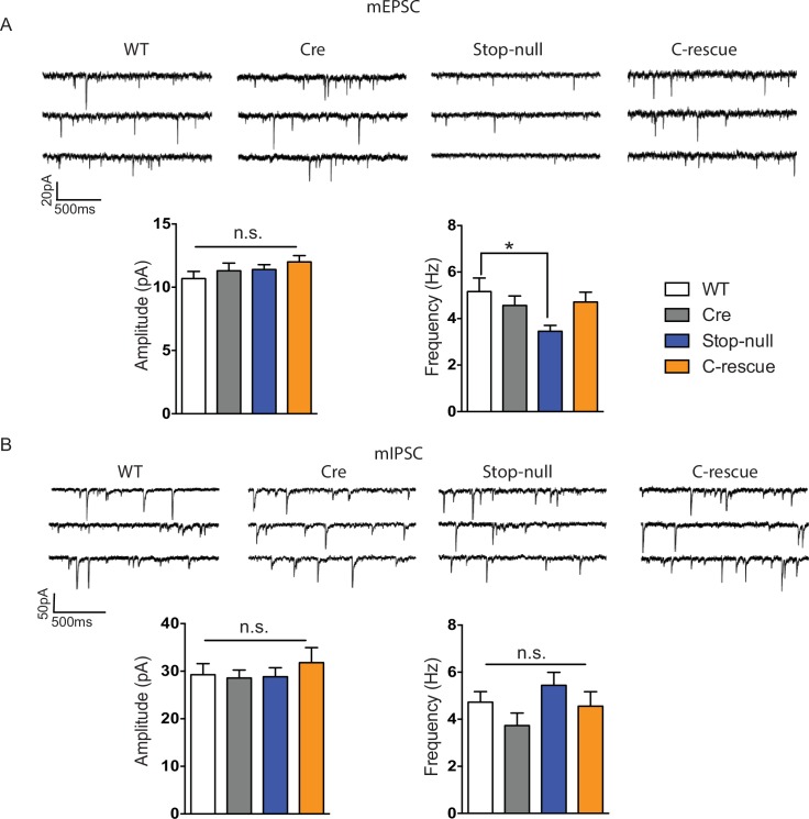 Figure 2—figure supplement 3.