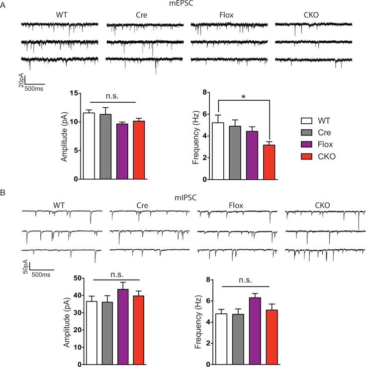 Figure 2—figure supplement 2.