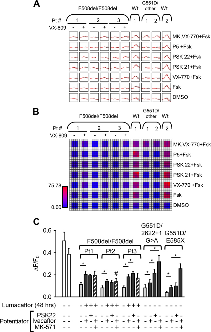 Fig. 4