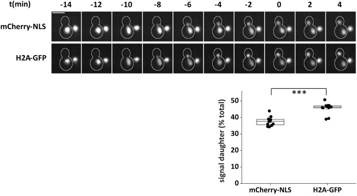 FIGURE 1: