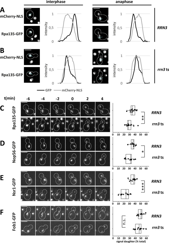 FIGURE 6: