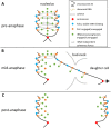 FIGURE 10: