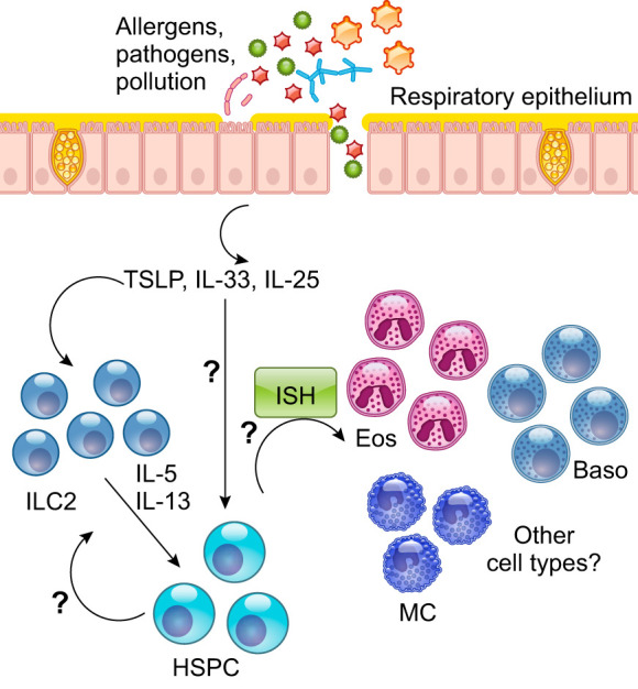 FIGURE 10.