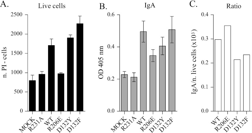 FIGURE 5.