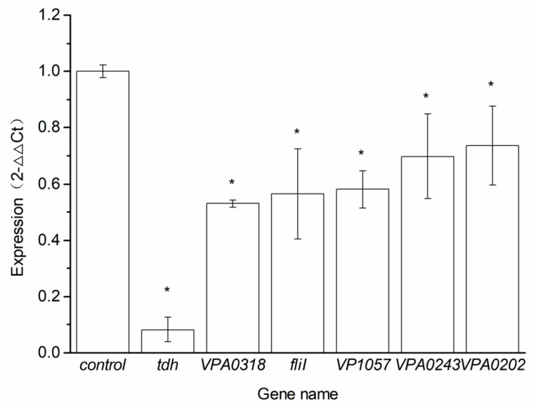 Figure 5