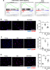 Supplemental Figure S1