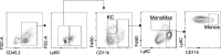 Supplemental Figure S8