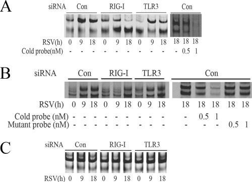 FIG.3.