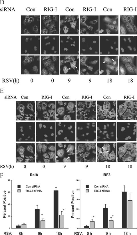 FIG.3.