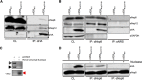 FIG 6