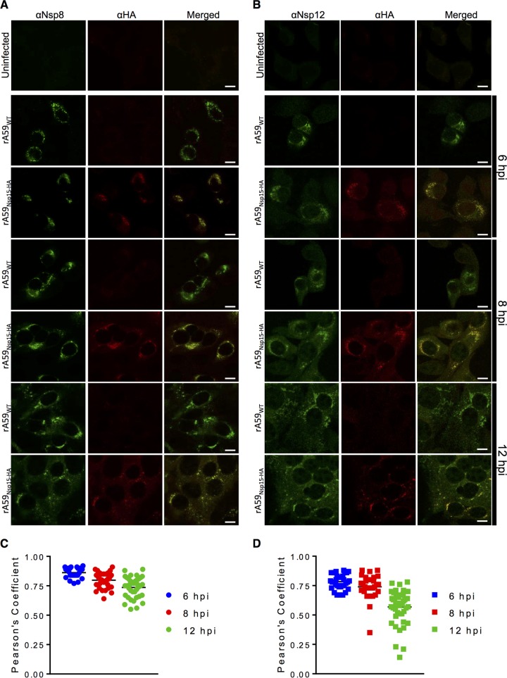 FIG 4 