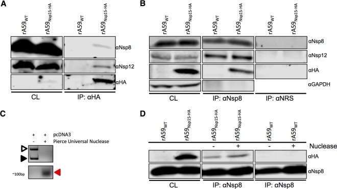 FIG 6 