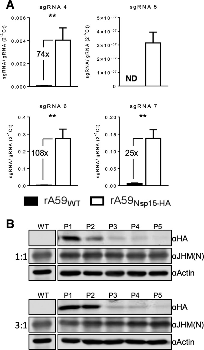 FIG 3 