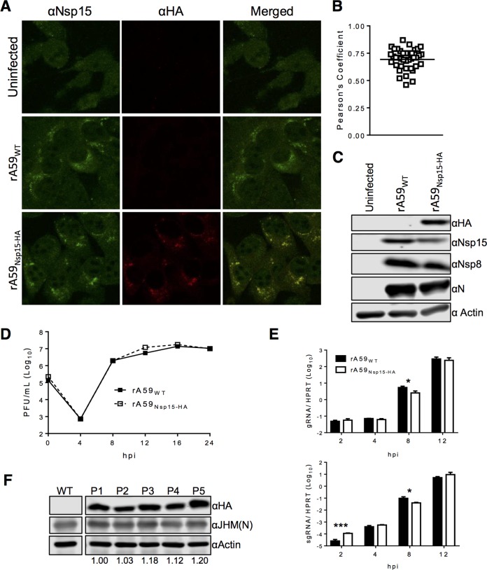 FIG 2 