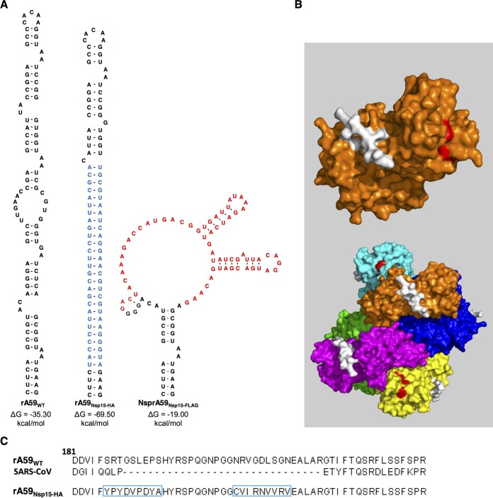 FIG 1 