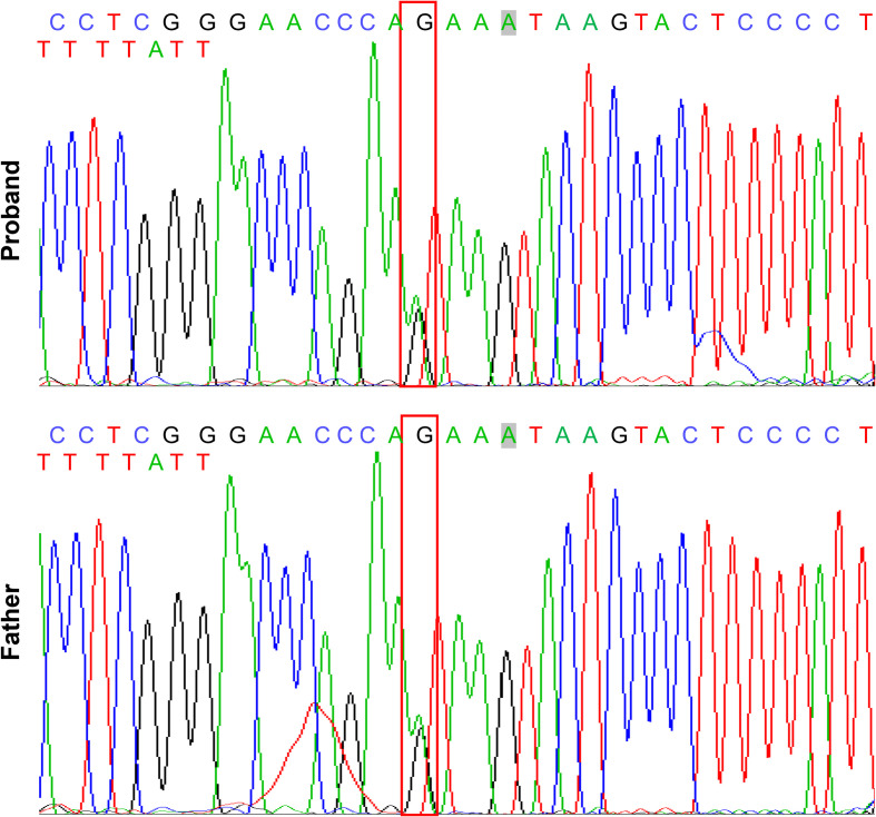 Figure 3