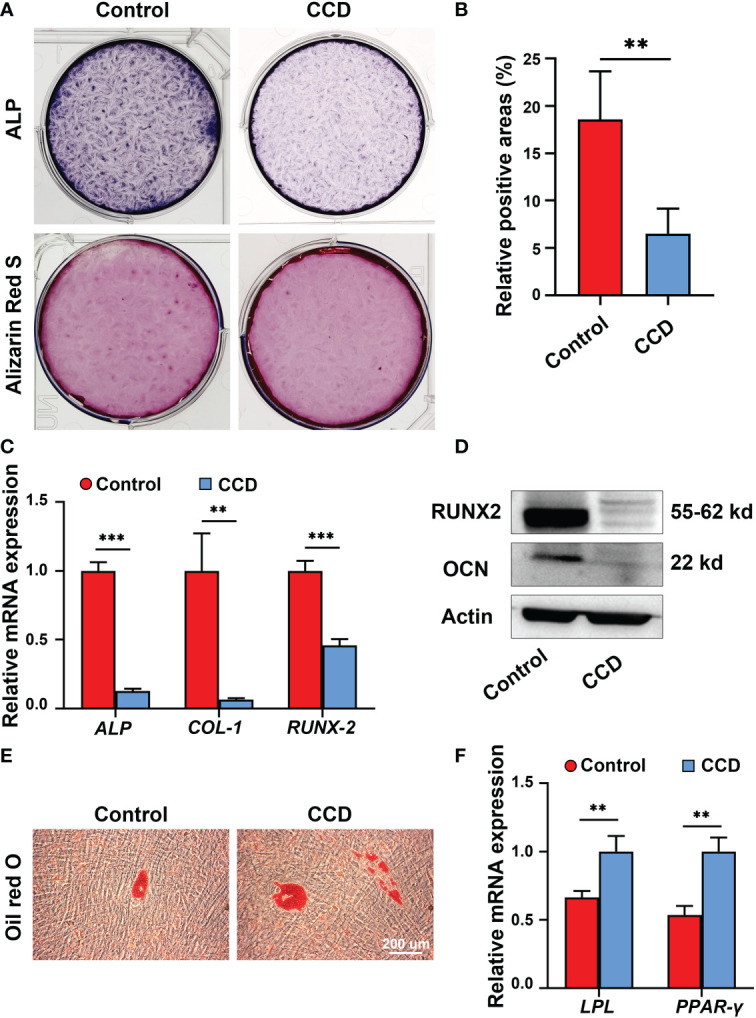 Figure 6