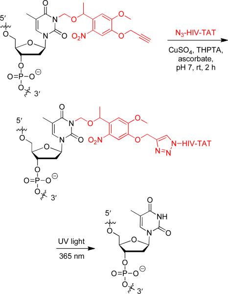 Scheme 2