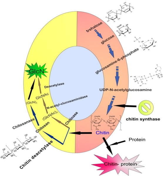 Fig.3