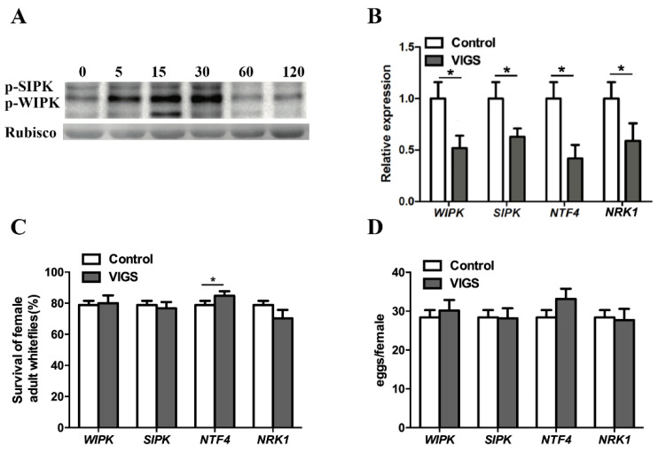 Figure 5