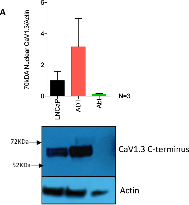 Fig 7