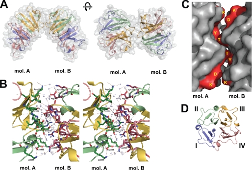 FIGURE 3.