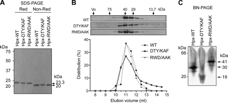 FIGURE 5.