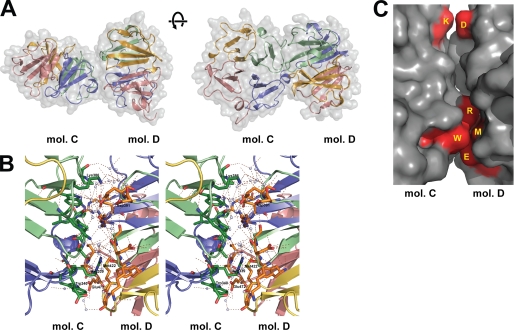 FIGURE 4.