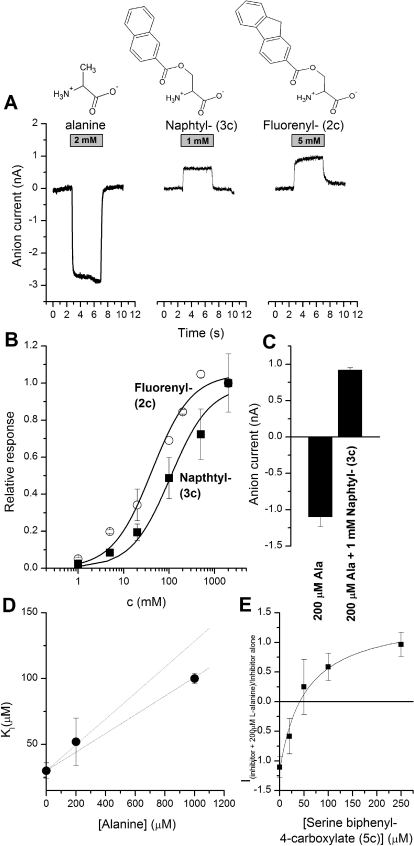 Fig. 5.