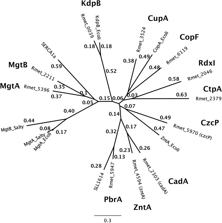 FIG 5 